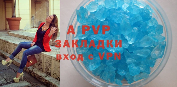 ешки Новодвинск
