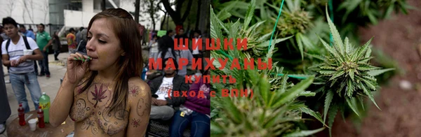 ешки Новодвинск