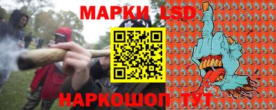 a pvp Кингисепп
