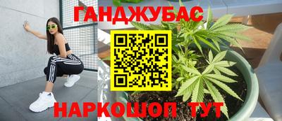 a pvp Кингисепп