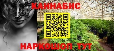a pvp Кингисепп