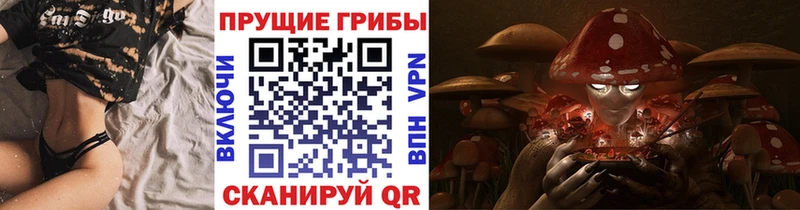 Псилоцибиновые грибы Psilocybe  Шахты 