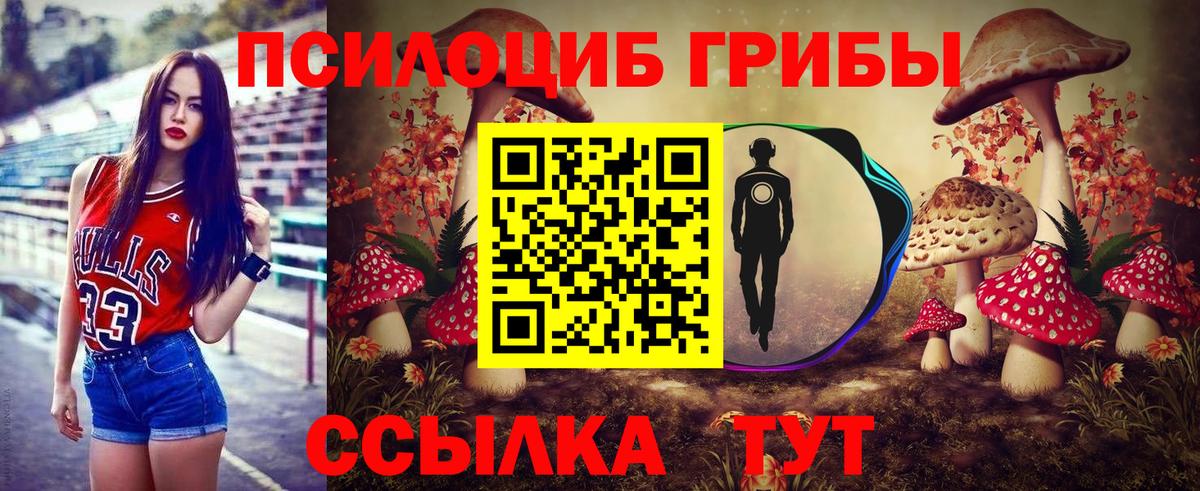 Шахты  Галлюциногенные грибы GOLDEN TEACHER  Вход с VPN 