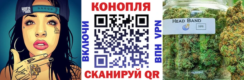 даркнет сайт  Шахты  Каннабис сатива 
