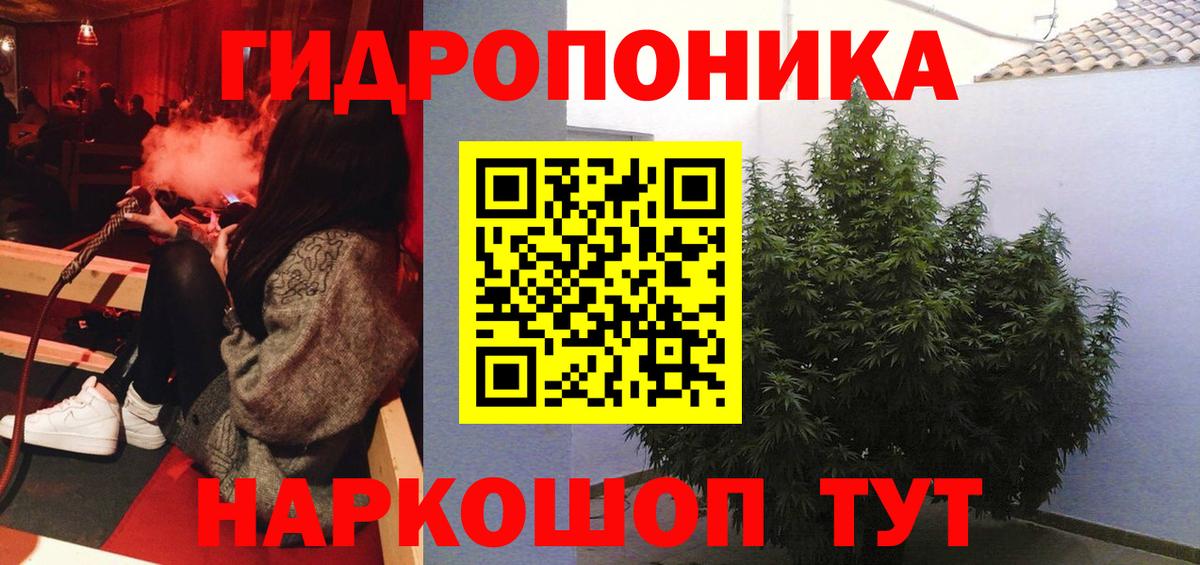 Шахты  Бошки Шишки гибрид  Вход с VPN  МАРИХУАНА Ganja  Шишки марихуана Ganja 